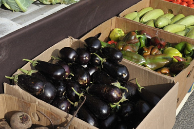 Эксперт назвал вредные и полезные свойства баклажанов и как их правильно готовить