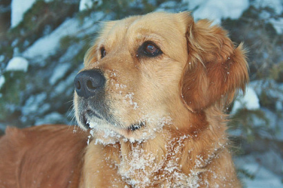 Название статьи