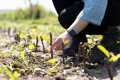 В Отрадном благоустроили Сад памяти об участниках СВО