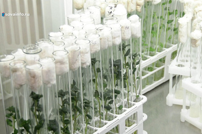 Название статьи