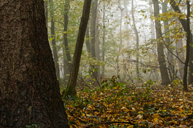 Народные приметы на 27 сентября 2025 года: что нельзя делать в этот день