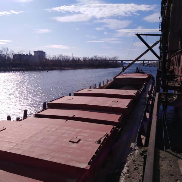 Две тысячи тонн самарской пшеницы отправились на экспорт