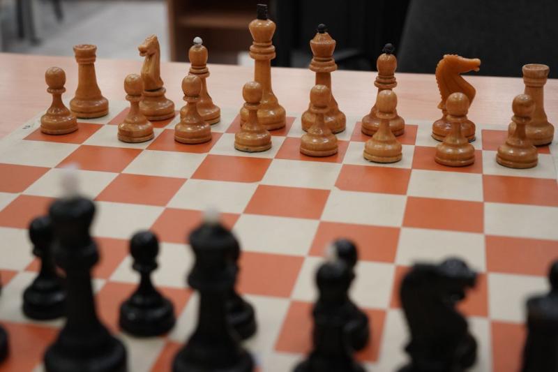 Алексей Гребнев сыграет матч по шахматам за право участия в Кубке мира