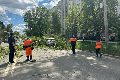 Два человека пострадали из-за упавшего дерева на проспекте Кирова в Самаре