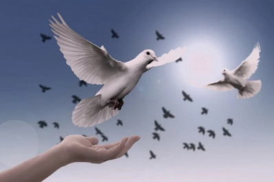 Татьяна Андреева: важно, чтобы мир воцарился на украинской земле 