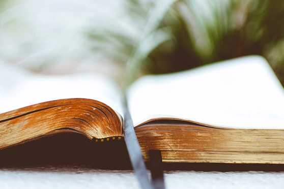 День ответов. Такое утро