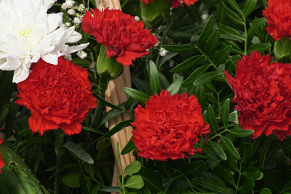 Название статьи