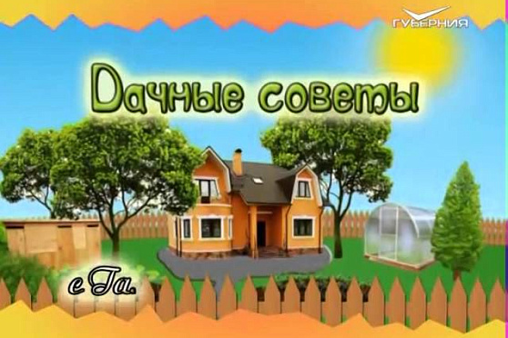 Дачные советы 12.11.2015 