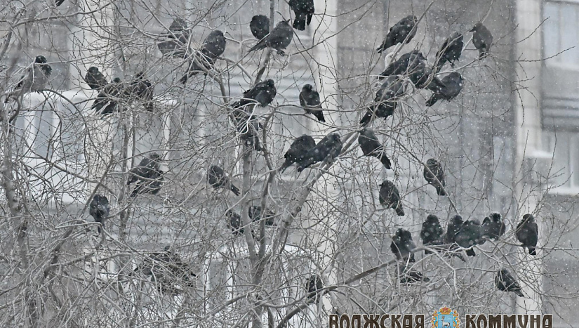 27 февраля в истории и архиве "ВК"