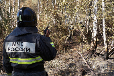 В Самарской области с начала года леса горели 77 раз