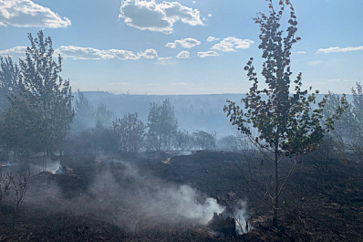 Николай Ренц рассказал о тушении крупного лесного пожара в Тольятти