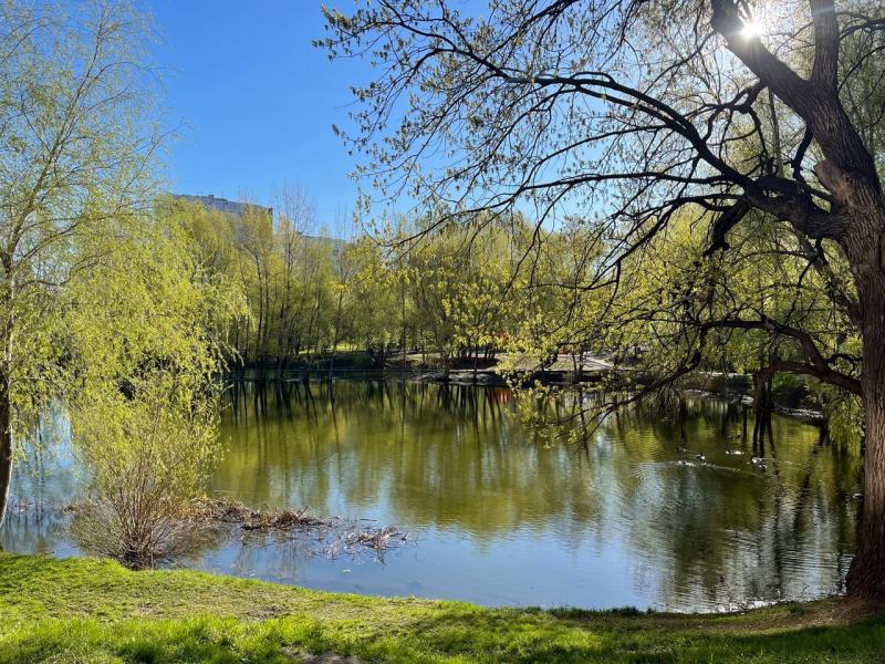 В Самарской области 6 мая ожидается до +14 градусов