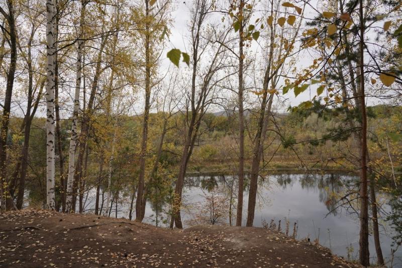 Сохранение памятников природы обсудили в Самарской области