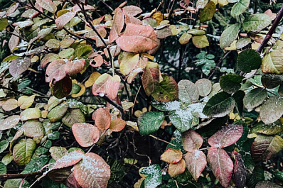 В Самарской области в ночь на 20 сентября ожидаются заморозки