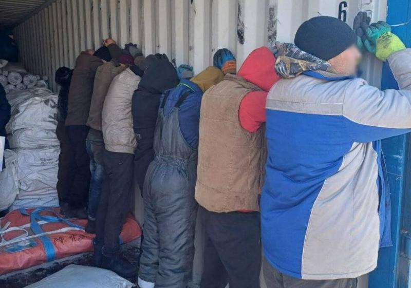 Иностранцы незаконно работали в тепличном комплексе в Самарской области