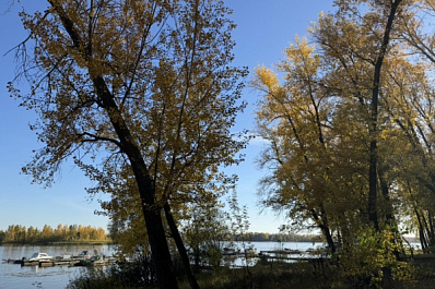 Погода на 6 октября 2024 года: народные приметы и прогноз синоптиков