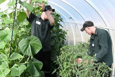 Занятия по растениеводству и оригами проводят для заключенных Самарской области