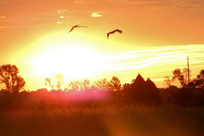 В Самаре начался ультрафиолетовый шторм