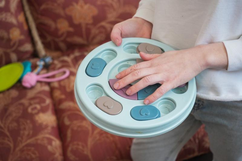 По делам четвероногих: как в Самарской области центр занятости помогает начинающим бизнесменам 