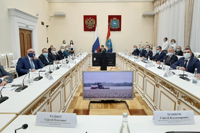 В Самарской области получили самый богатый урожай за 30 лет