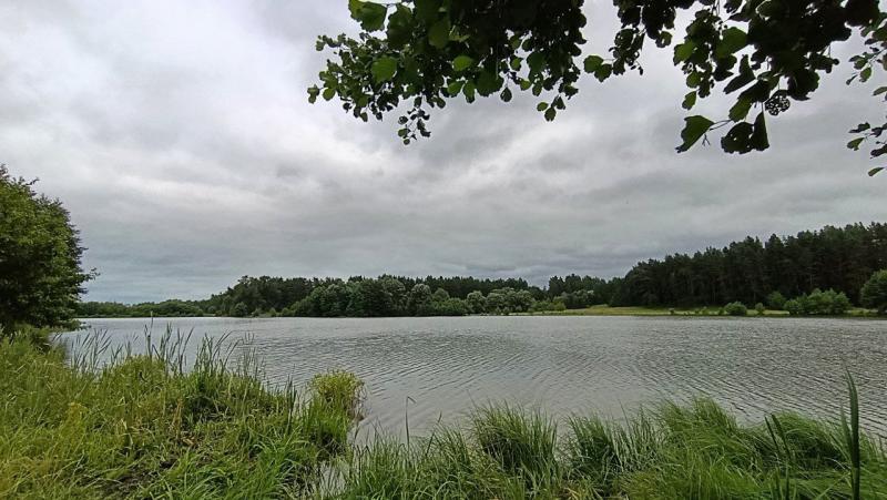 Погода на 2 июля 2025 года: народные приметы и прогноз синоптиков