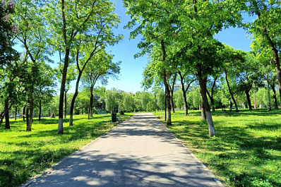 22 августа в Самарской области будет солнечно и тепло
