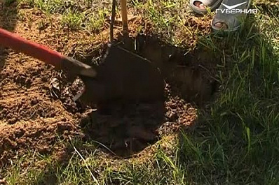 Самарская область отметит День особо охраняемых природных территорий