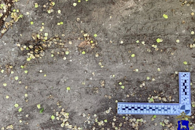 В Тольятти 14-летний подросток угнал автомобиль