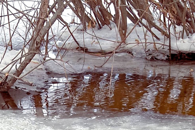 Стал известен прогноз паводковой обстановки в Самарской области