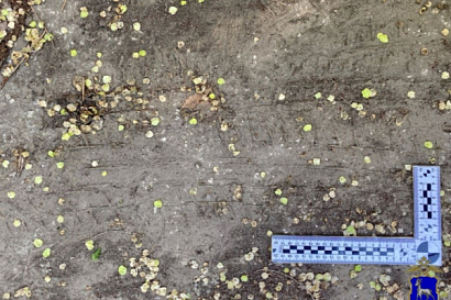 Название статьи