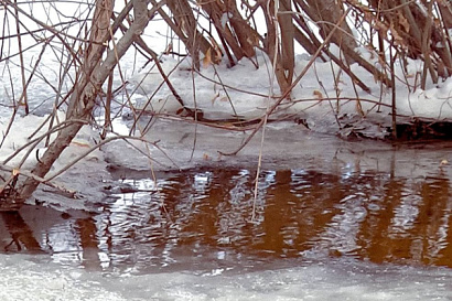 Название статьи