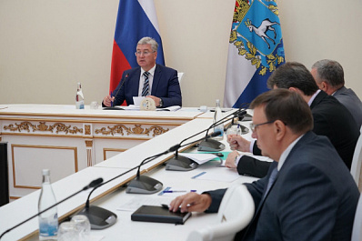 Вопросы экологии и повышение качества госуслуг населению обсудили в Правительстве Самарской области