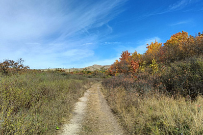 Мнение психолога: позитивные эмоции помогают бороться со стрессом