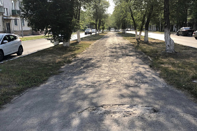 В Новокуйбышевске на аллее по улице Чернышевского высадят каштаны