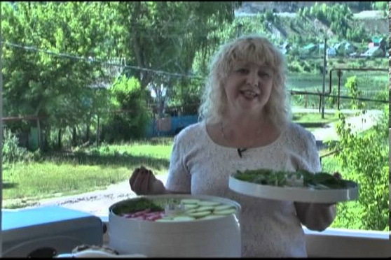 Дачные советы 04.07.2013 