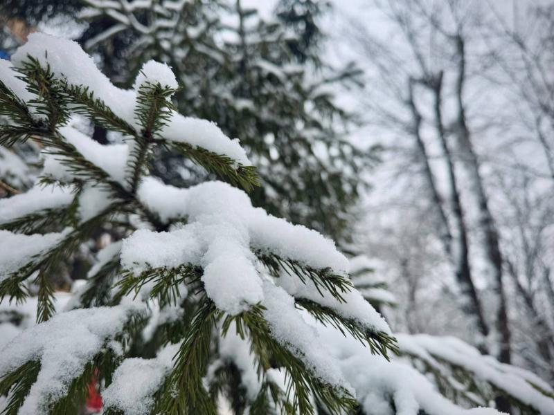 Снег и слабый ветер: погода в Самарской области 26 февраля