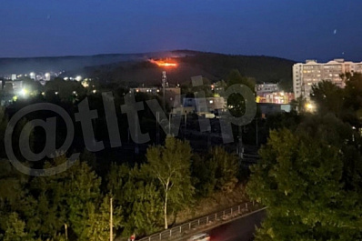 В Жигулевске локализовали возгорание сухой травы в лесу