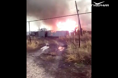 В Самарской области зафиксирована вспышка африканской чумы свиней