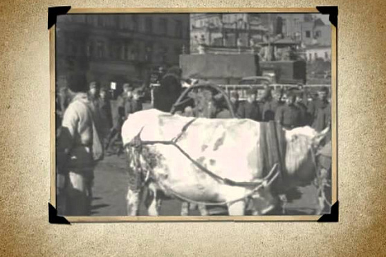 Календарь Губернии 16.09.2012