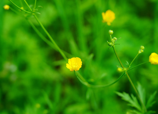 Название статьи