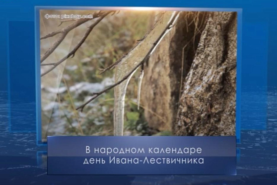 День Ивана Лествичника. Календарь Губернии от 12 апреля