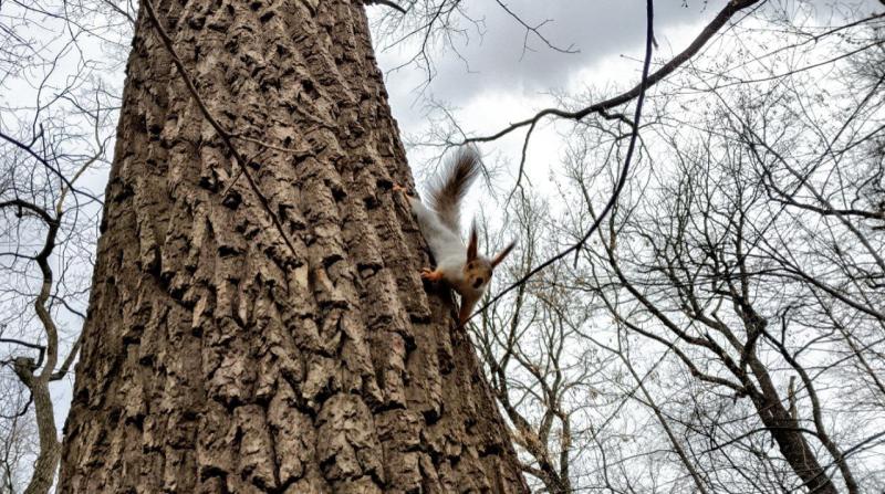 Народные приметы на 9 апреля 2025 года: что нельзя делать в этот день