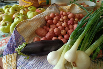 Самарцам рассказали, где самые низкие цены на продукты