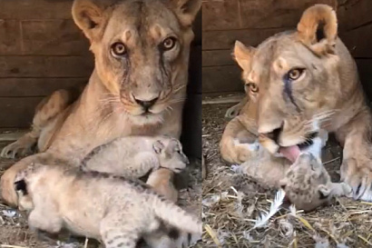 Название статьи