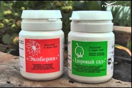 Дачные советы 14.05.2015 