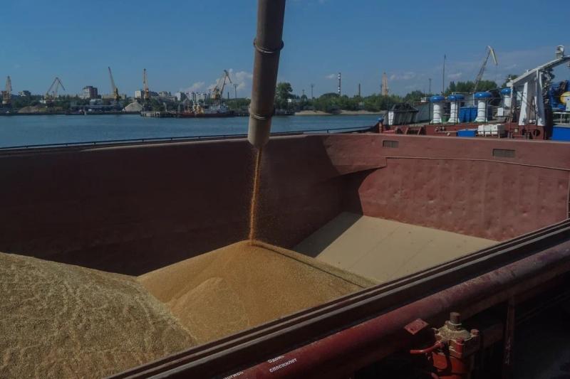 Экспортер зерна из Самарской области выходит на новые рынки с господдержкой