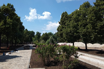 В сквере Фадеева приступили к прокладке автополива