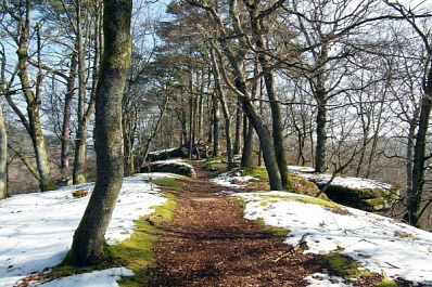 Рабочая неделя будет для самарцев теплой и солнечной