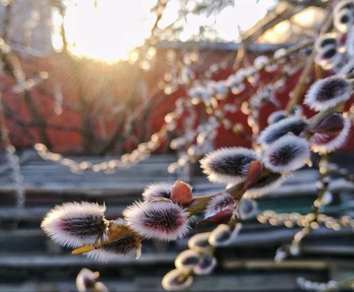 День весеннего равноденствия: приметы и запреты