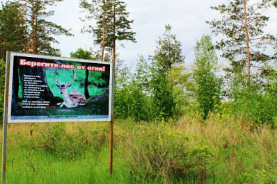 В Тольятти особый противопожарный режим начнется в середине апреля